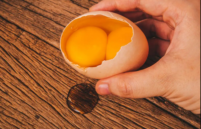 Biblical Meaning Of A Double Yolk Egg 