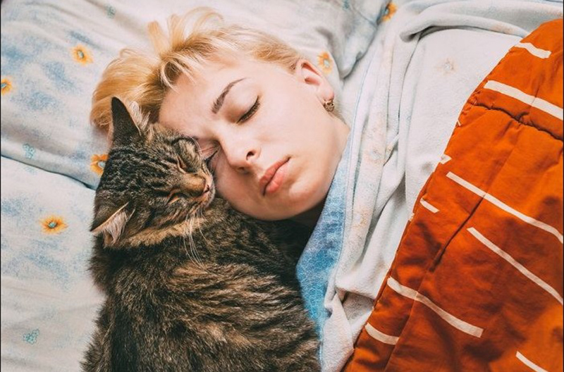 Understanding the Symbolism Behind Dreams of Cats Sleeping Above Your Head
