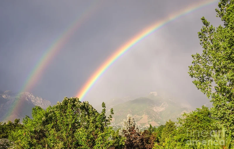 Seeing Double Rainbow Meaning