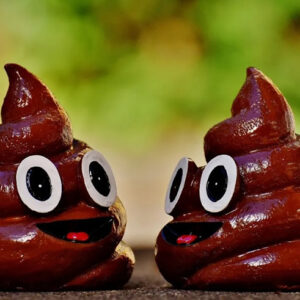 Dreaming of Poop Meaning: 8 Interpretations You Need to Know