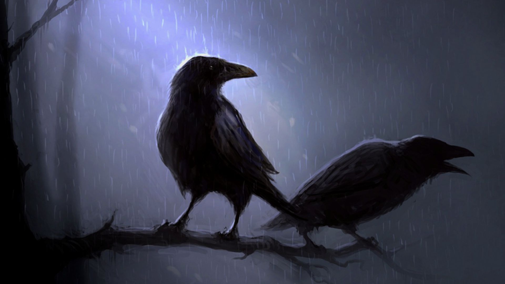 The Spiritual Meaning of Seeing a Crow What It Means and How to Interpret It