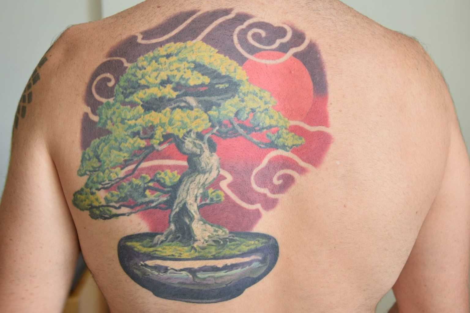 The Meaning Behind Bonsai Tree Tattoos: A Symbol of Beauty and Balance