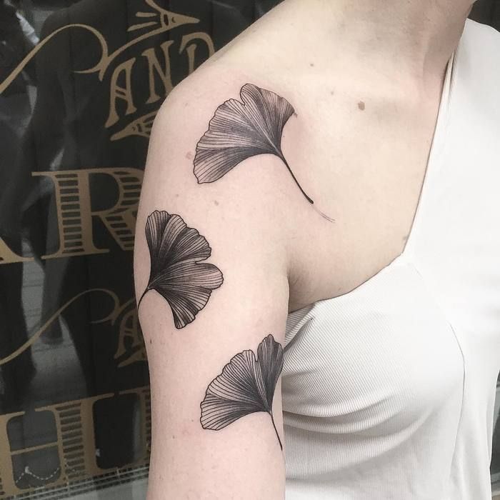 Ginkgo Leaf Tattoo Meaning: Exploring the Symbolic Significance of This Ancient Symbol