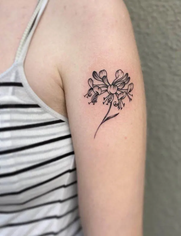 The Enchanting Honeysuckle Tattoo Meaning: A Blossoming Symbol of Beauty and Love