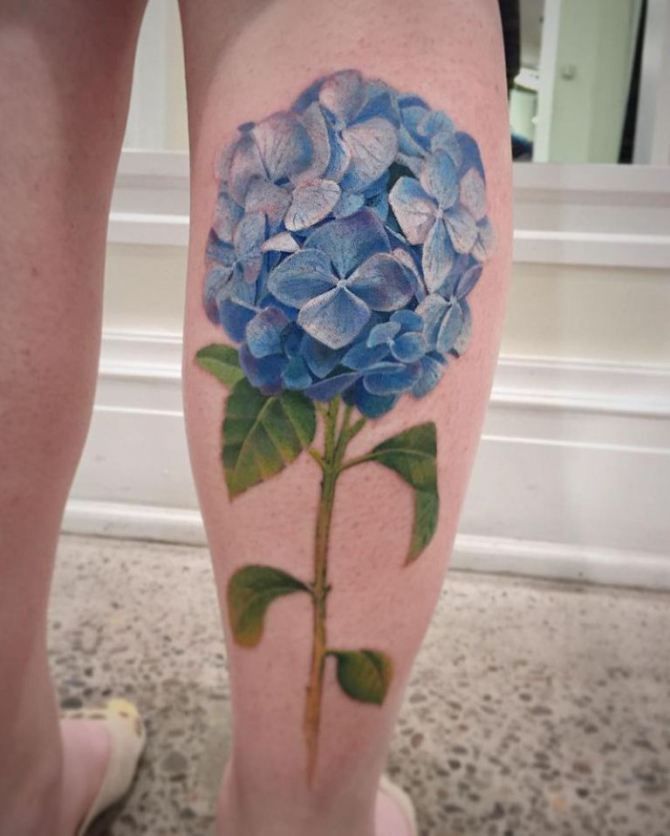 The Enchanting Hydrangea Tattoo Meaning: Unveiling the Symbolism and Allure