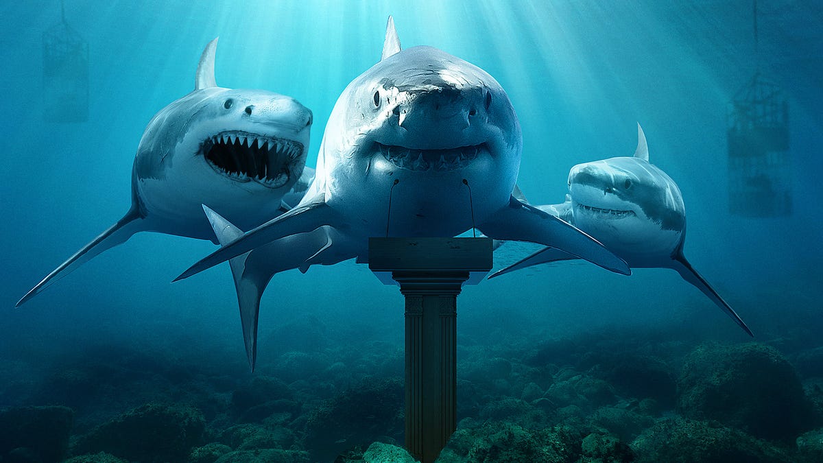 What Does It Mean When You Dream About Sharks? Symbolism and Meaning Behind