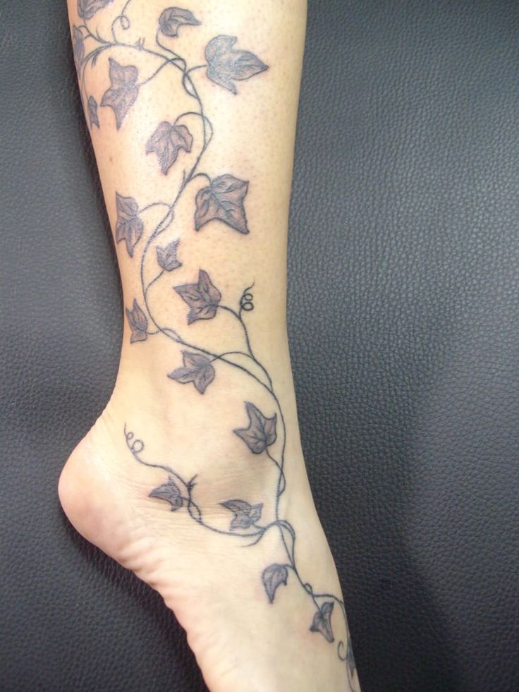 The Intriguing Meaning of Ivy Tattoo A Symbolic Exploration of Nature's Resilience