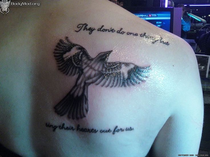 The Meaning Behind Mockingbird Tattoos: Understanding Its Meaning and Significance