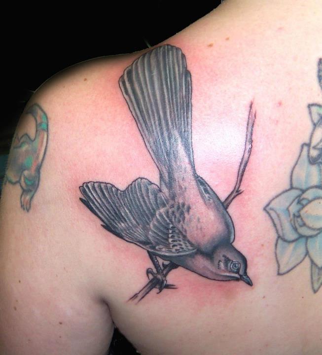 The Meaning Behind Mockingbird Tattoos: Understanding Its Meaning and Significance