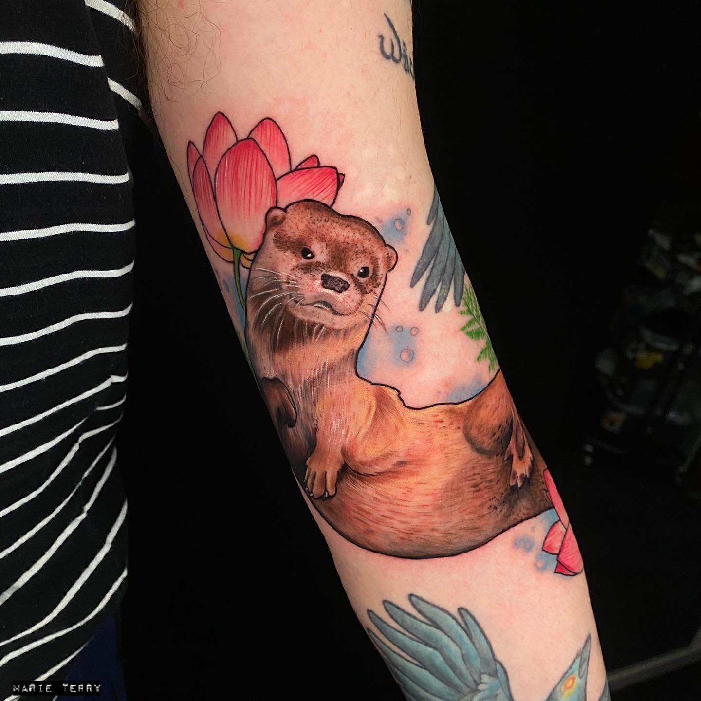 The Meaning of Otter Tattoos: Symbology, Symbolism, and Significance