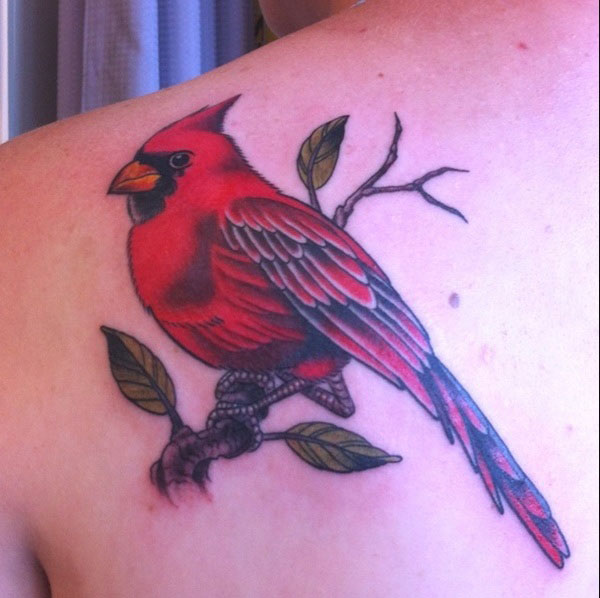 Cardinal Tattoo Meaning: Symbolism, Significance, and Interpretations
