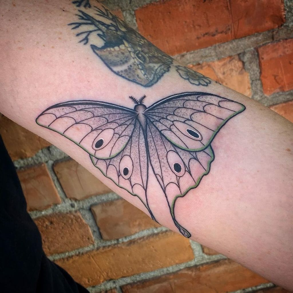 Understanding the Luna Moth Tattoo Meaning: What is the Significance?