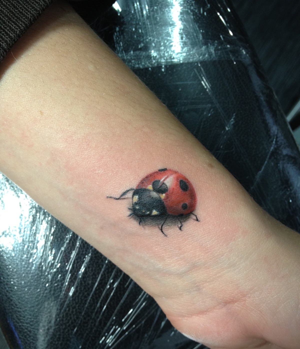 Unveiling the Secrets: Ladybug Tattoos Meaning Explored