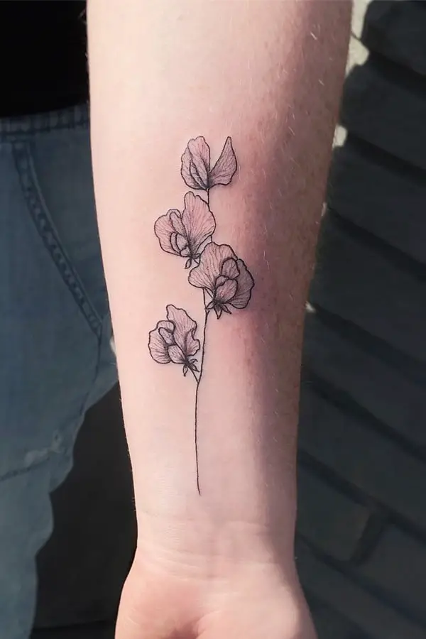 Sweet Pea Flower Tattoo Meaning: Unveiling the Symbolism of this Beautiful Blossom