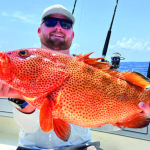 The Spiritual Meaning of Fish in a Dream: Decoding the Message