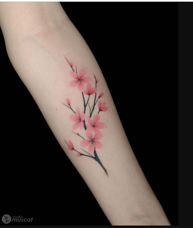 cherry-blossom-tattoo-meaninaCherry Blossom Tattoo: Exploring Tattoo Meanings and Their Cultural Significanceg-2