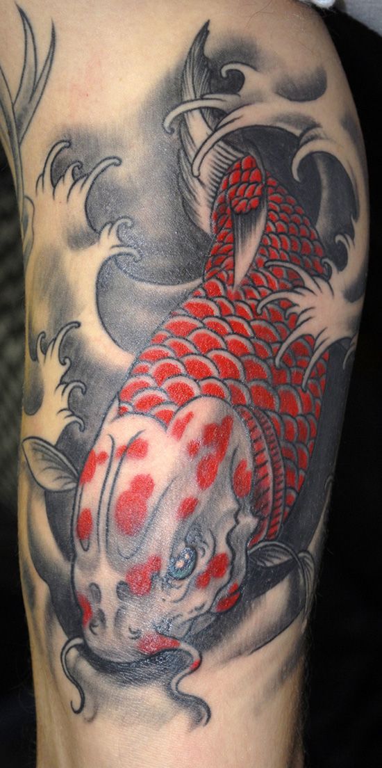  Coy Fish Tattoos Meaning: Unlocking the Symbolism and Beauty