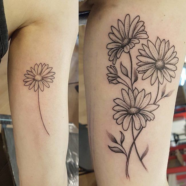 Daisy Tattoo Meaning: Celebrating the Beauty of This Timeless Flower - Impeccable Nest