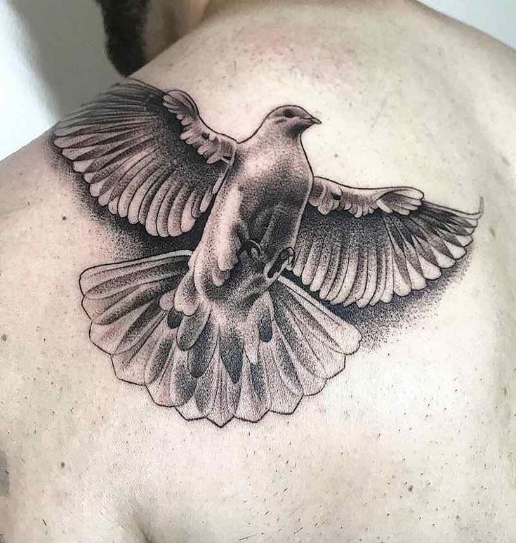 Dove Tattoo Meaning: Exploring the Rich Meanings Infused into Body Ink