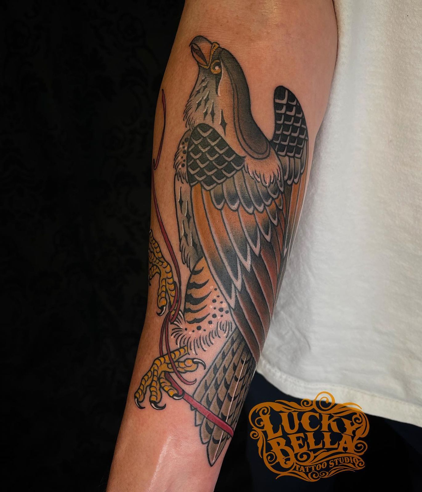Hawk Tattoo Meaning: The Deeper Meanings Behind Popular Tattoo Designs