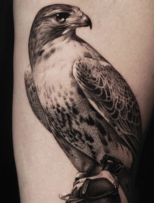 Hawk Tattoo Meaning: The Deeper Meanings Behind Popular Tattoo Designs