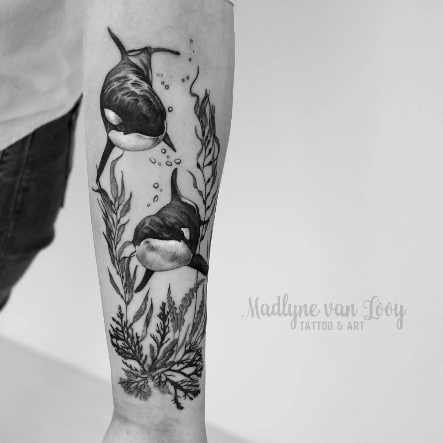 Orca Tattoo Meaning: Unraveling the Stories Behind Symbolic Body Art