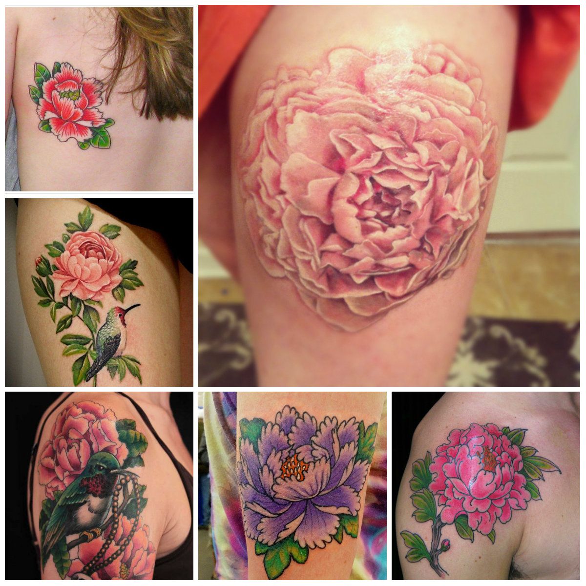 Peony Flower Tattoo Meaning: Unveiling the Intricacies of a Unique Expression