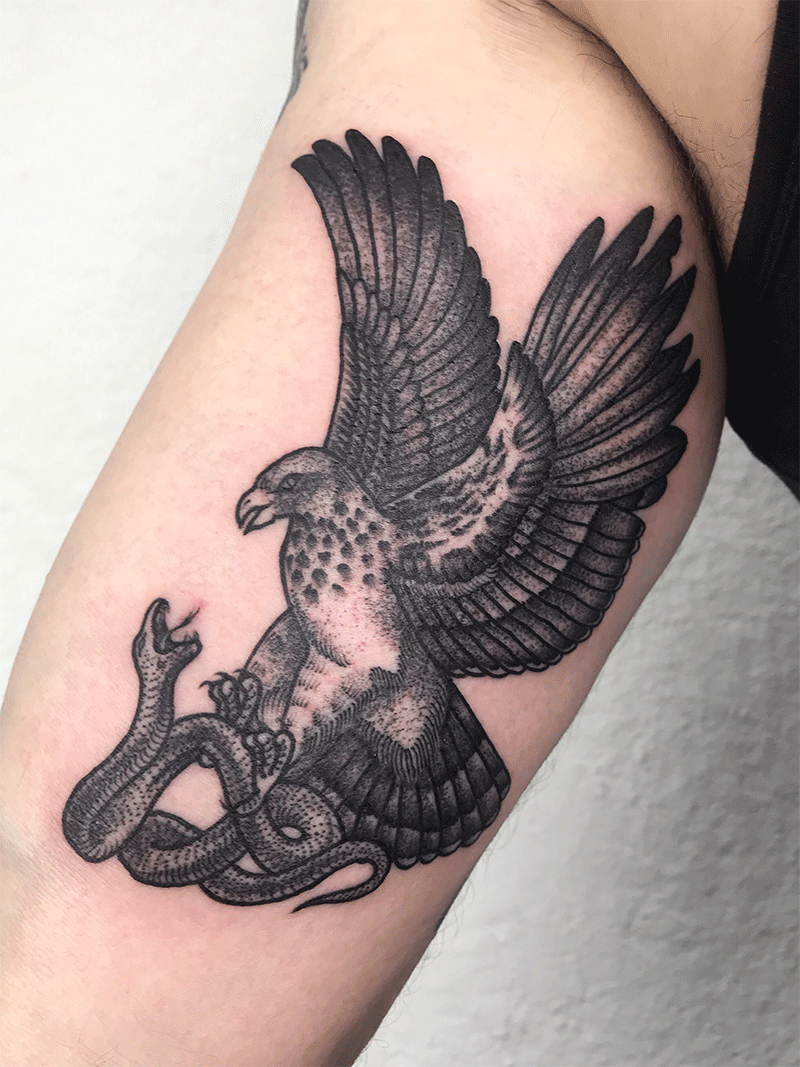 Snake and Eagle Tattoo Meaning: The Deeper Meanings Behind Popular Tattoo Designs