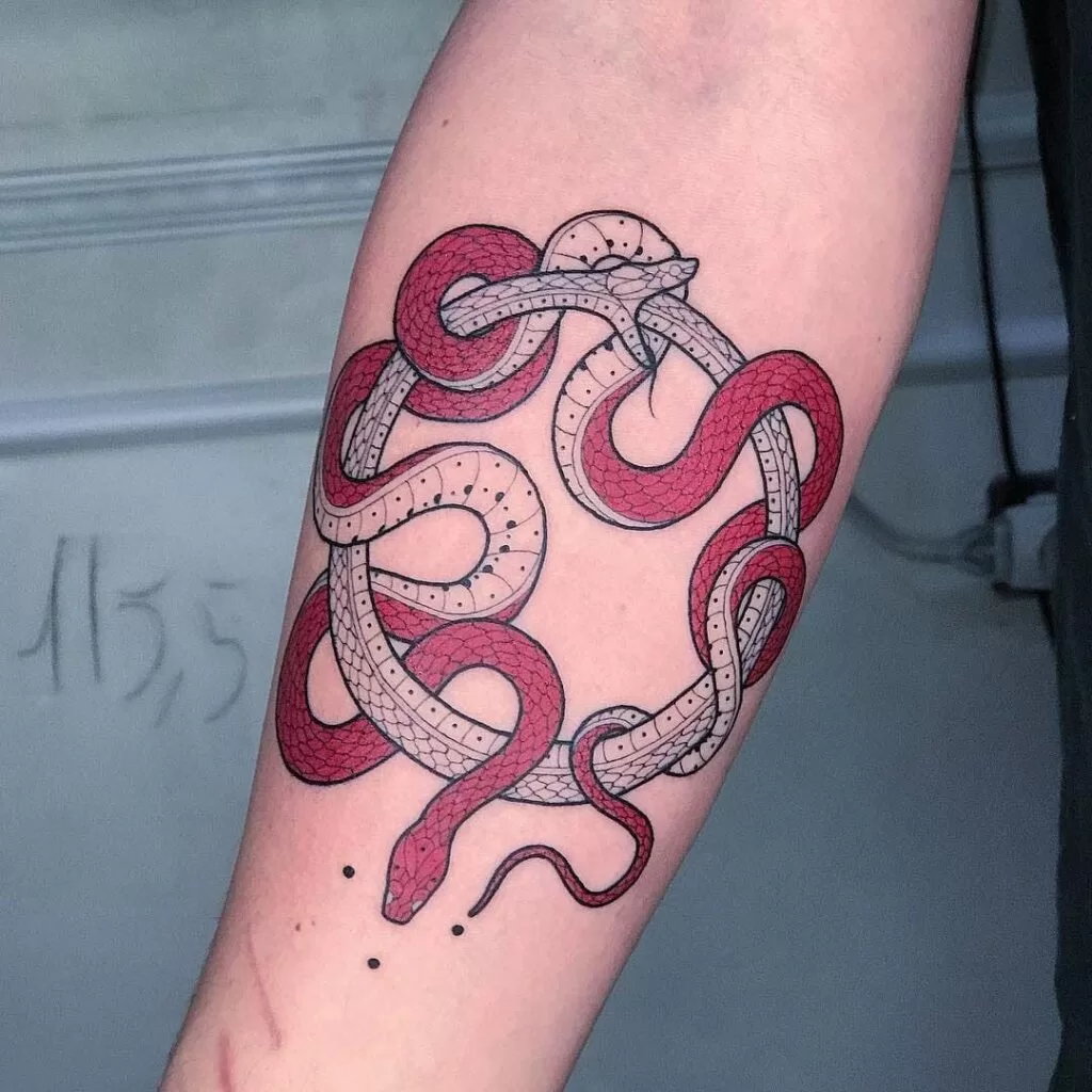 Snake Eating Itself Tattoo Meaning: Exploring Tattoo Meanings and Their Cultural Significance