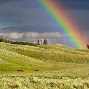 The Spiritual Meaning of Seeing a Rainbow in a Dream: An Unveiling of the Subconscious Mind