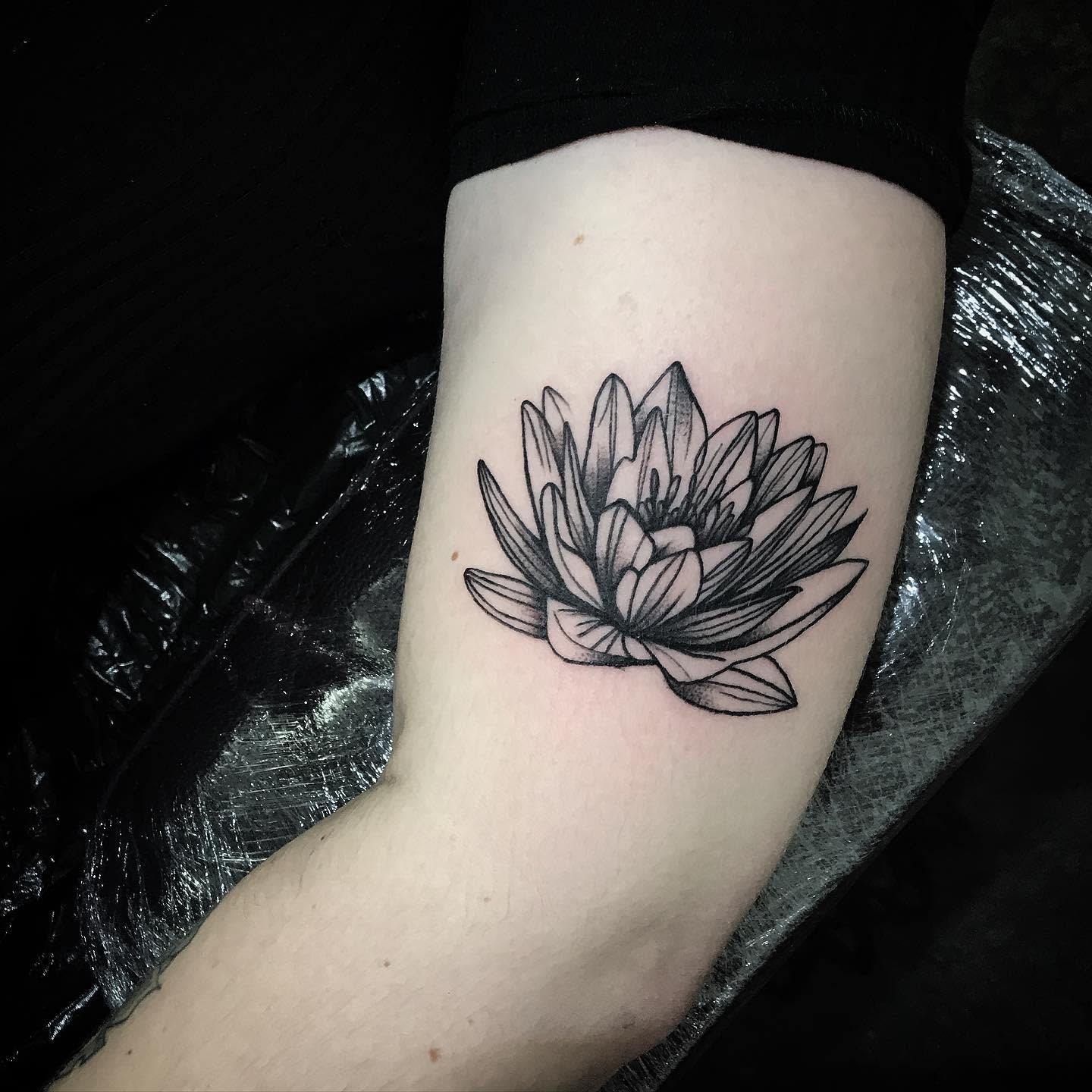 Water Lily Tattoo Meaning: The Deeper Meanings Behind Popular Tattoo Designs - Impeccable Nest
