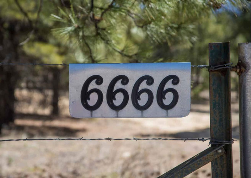 Discovering the Meaning of 6666 Angel Number