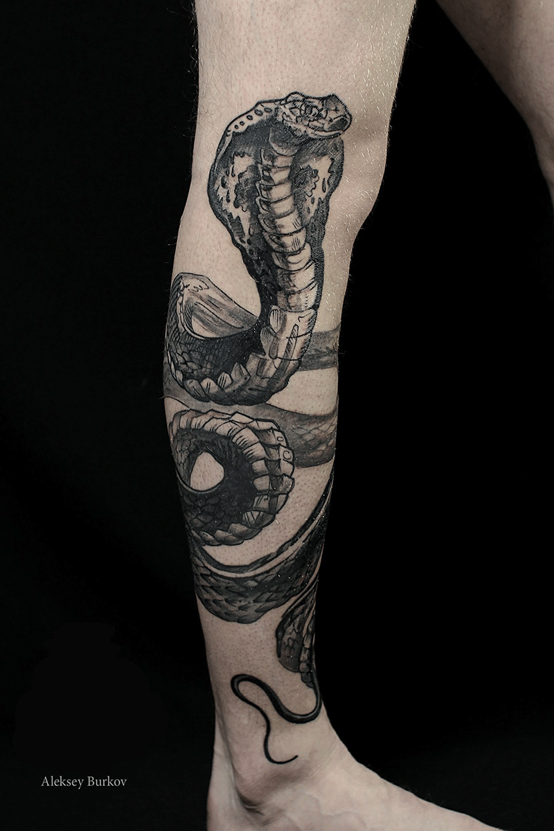 Cobra Tattoo Meaning: Unraveling the Stories Behind Symbolic Body Art