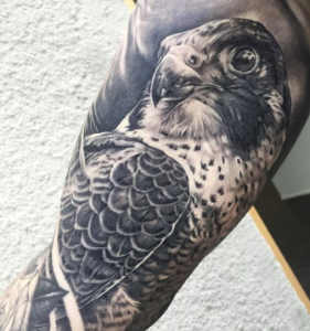 Falcon Tatoo Meaning: The significance and patterns of a tattoo that portrays a falcon communicate the concepts of toughness and independence. It is recognized as a representation of strength and liberty.
