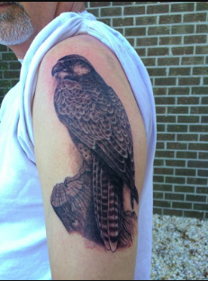 Falcon Tatoo Meaning: The significance and patterns of a tattoo that portrays a falcon communicate the concepts of toughness and independence. It is recognized as a representation of strength and liberty.