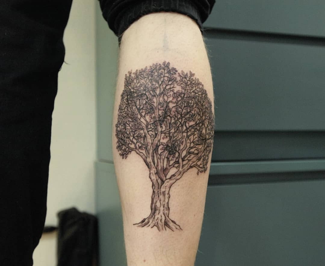 Oak Tree Tattoo Meaning: The Deeper Meanings Behind Popular Tattoo Designs