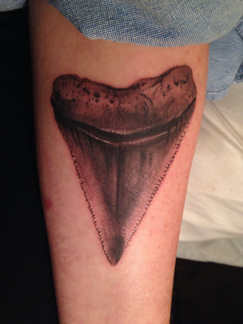 Shark Tooth Tattoo Meaning: The Significance of Shark Tooth Tattoo Design: Interpreting its Meaning and Importance.