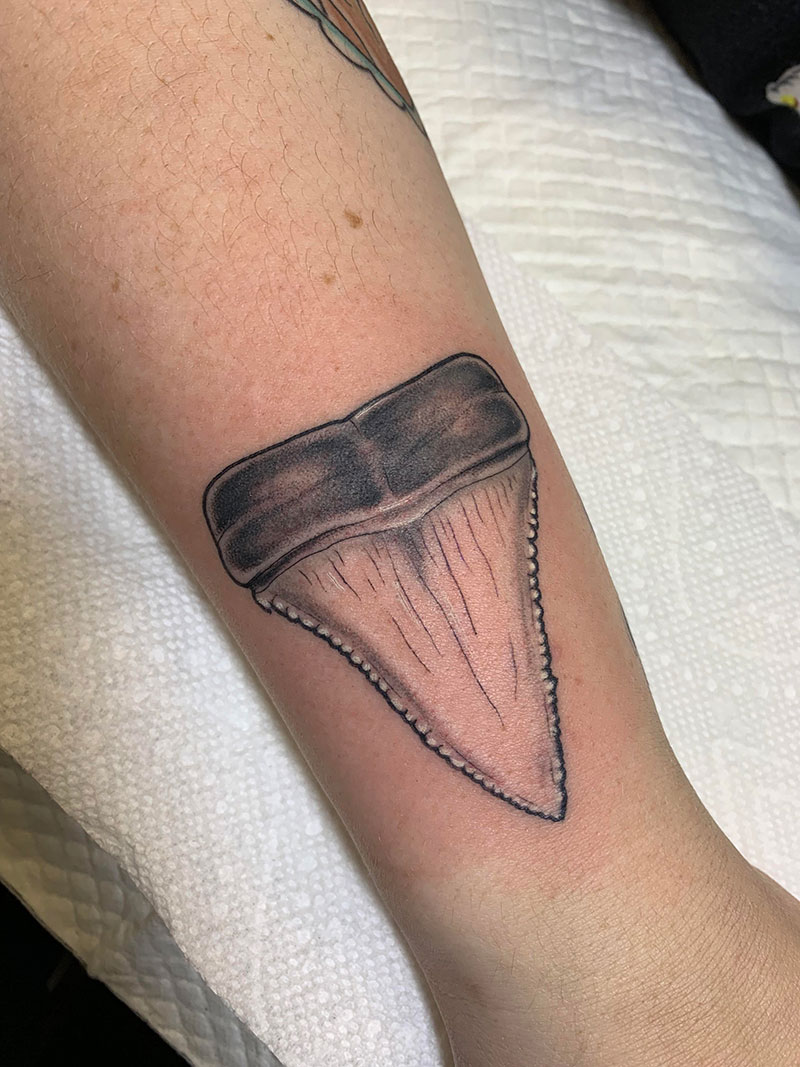 Shark Tooth Tattoo Meaning: The Significance of Shark Tooth Tattoo Design: Interpreting its Meaning and Importance.