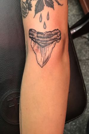 Shark Tooth Tattoo Meaning: The Significance of Shark Tooth Tattoo Design: Interpreting its Meaning and Importance.