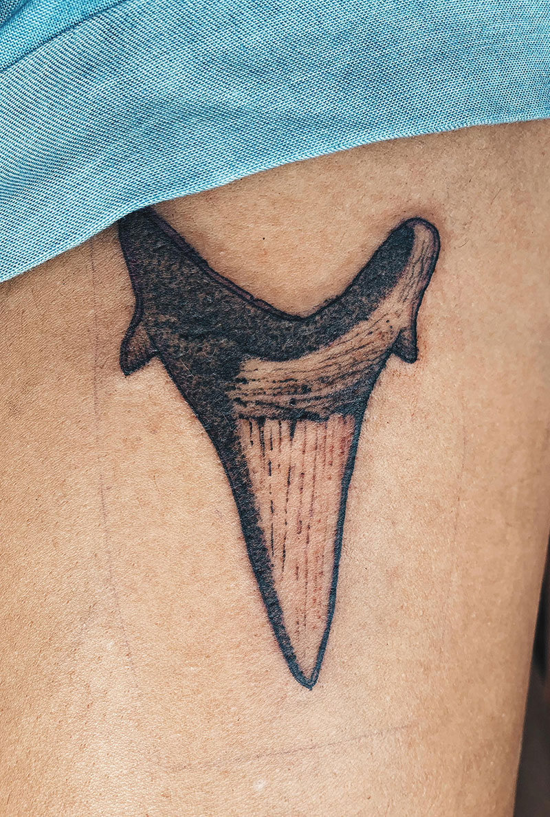 Shark Tooth Tattoo Meaning: The Significance of Shark Tooth Tattoo Design: Interpreting its Meaning and Importance.