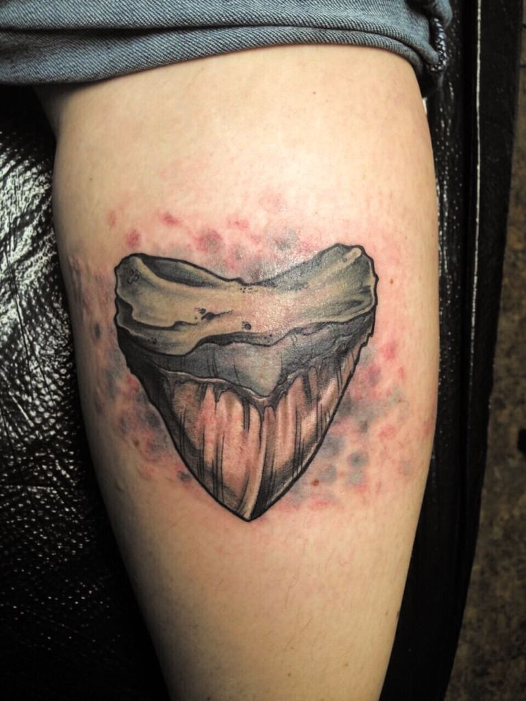 Shark Tooth Tattoo Meaning: The Significance of Shark Tooth Tattoo Design: Interpreting its Meaning and Importance.