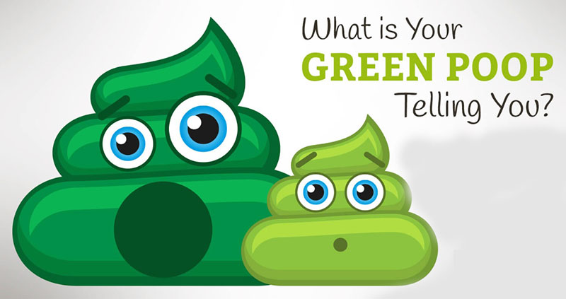 What Does It Mean When Your Poop Is Green? Is it Good or Bad?