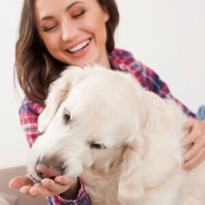 Understanding Canine Licks: What Does it Mean When Dogs Lick You?