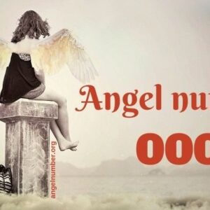 000 Angel Number Meaning 652fca8147cbd.jpg