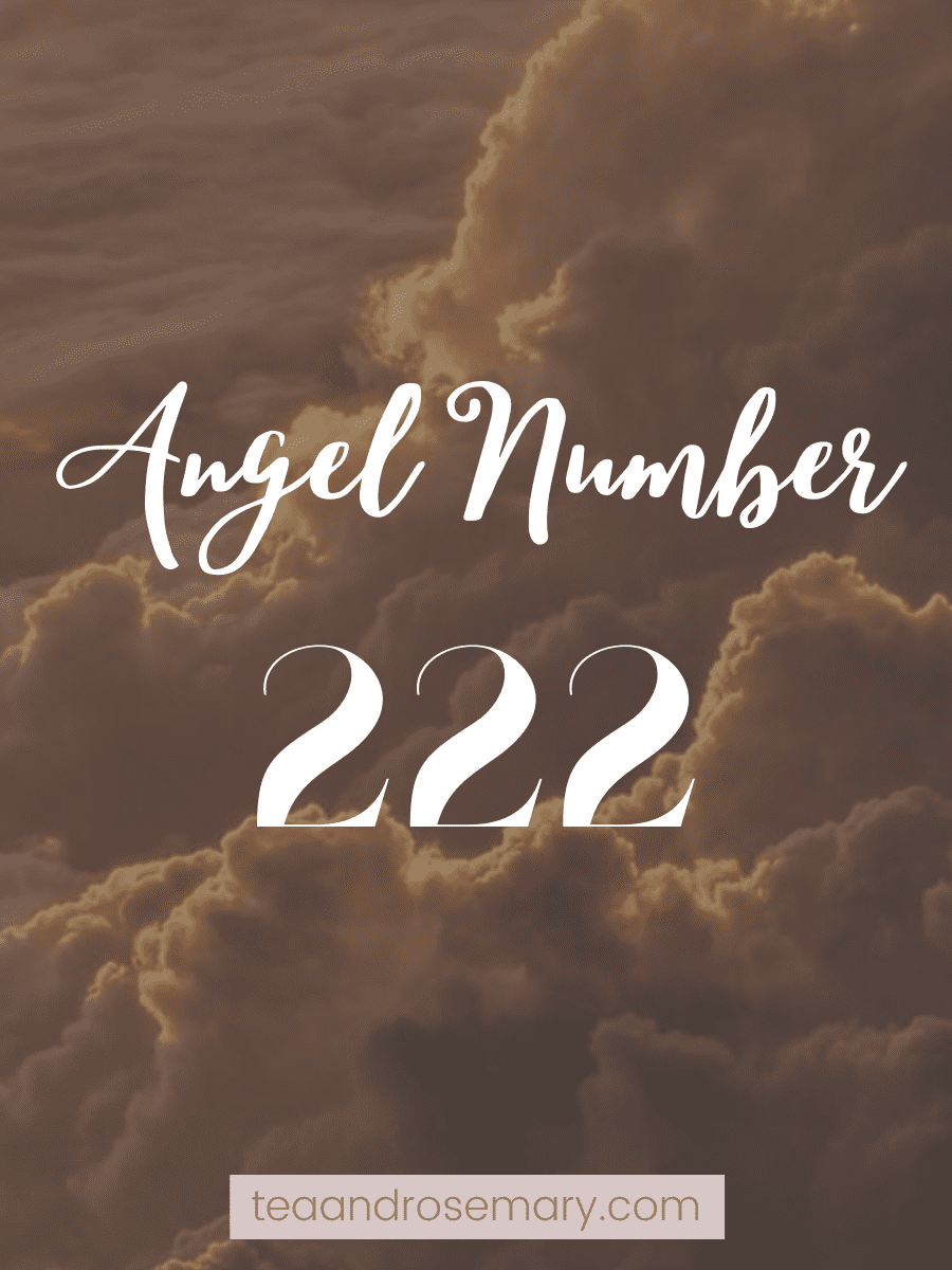 222 Angel Number Meaning Twin Flame: 