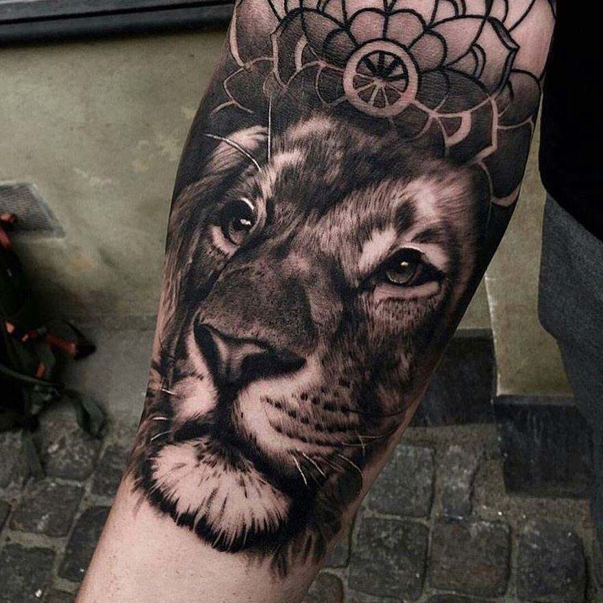 Top 13 Lion Tattoos for Men: A Showcase of Unique Lion Tattoos for Today's Man