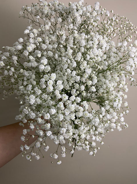 Babys Breath Meaning: Delicate Appearance and Sweet Fragrance