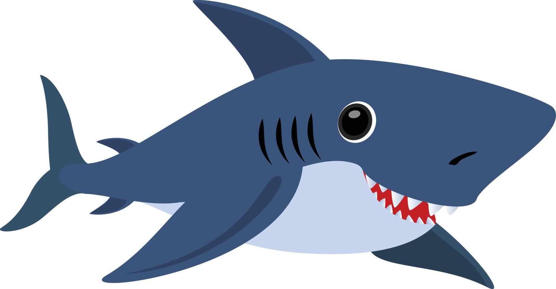 50+ Names That Mean Shark: Strength, Speed, and Ocean energy