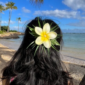 The Meaning And Symbolism Of Plumeria Flowers 655f6daa6051b.jpg