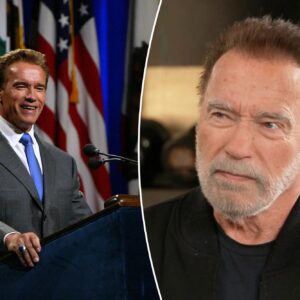 Title Schwarzenegger Meaning An Analysis 65669b3079bdc.jpg